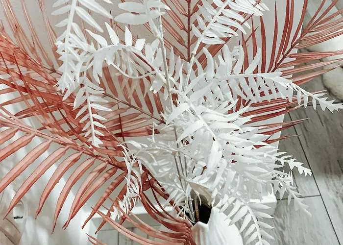 Sunset View * 모스타르